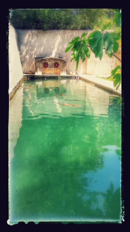 Bed & Breakfast La Royante