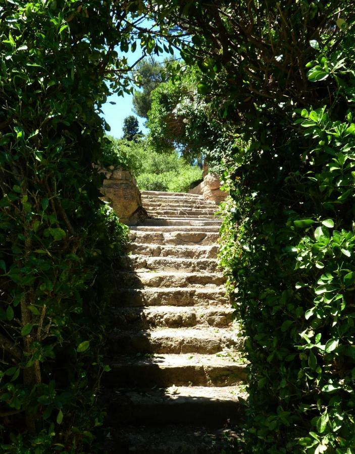 La Royante Bed & Breakfast Aubagne