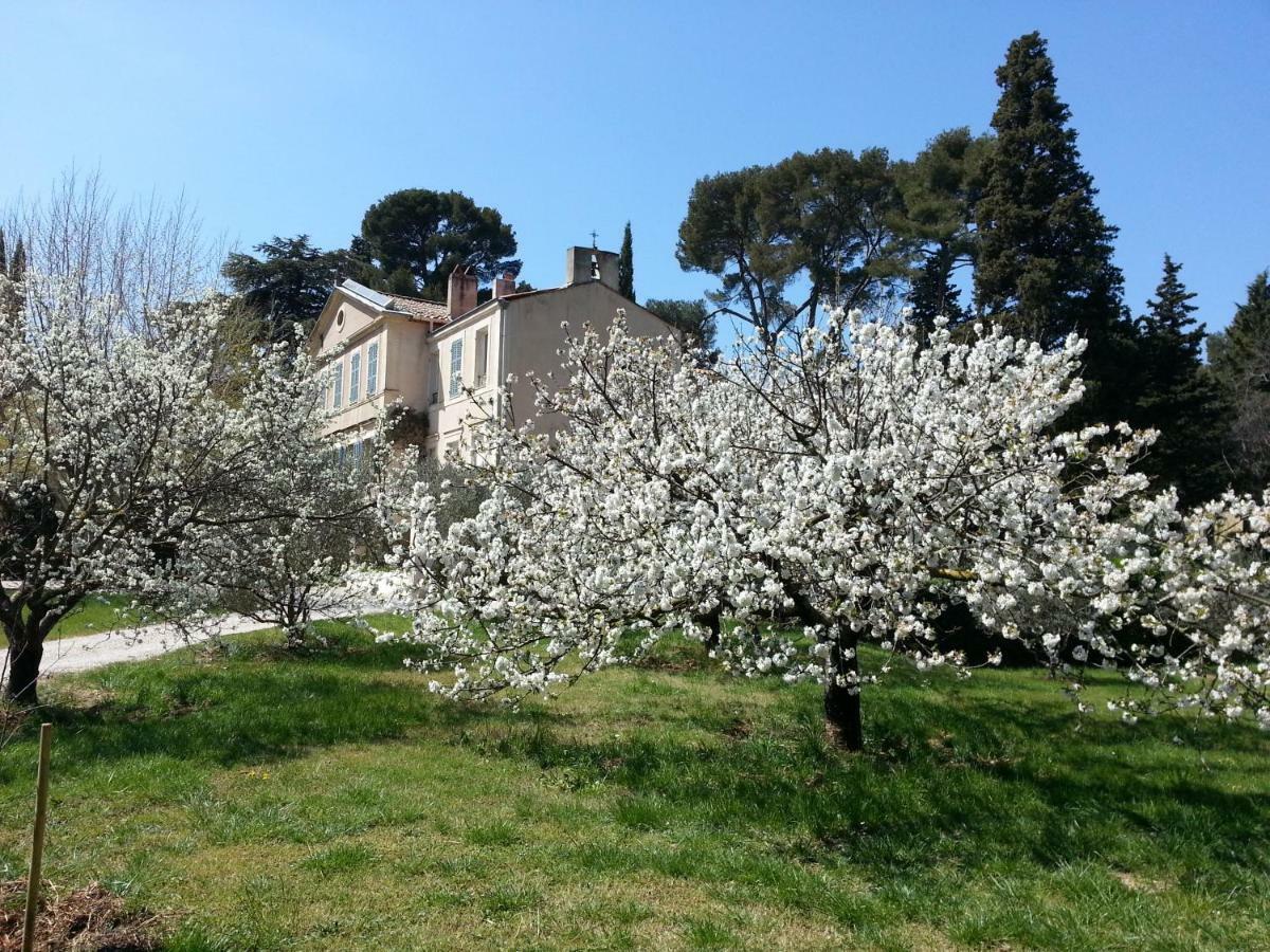 La Royante Aubagne